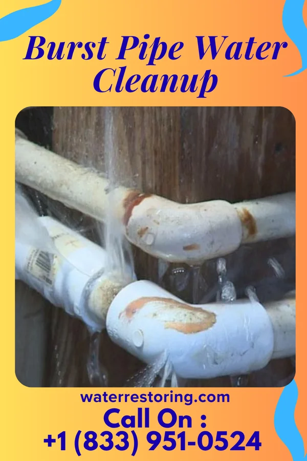 Burst Pipe Water Cleanup in Crandall, IN
