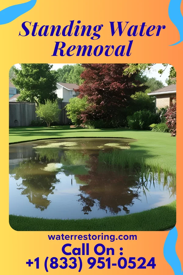 Standing Water Removal in Crandall, IN